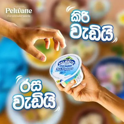 avant media creative